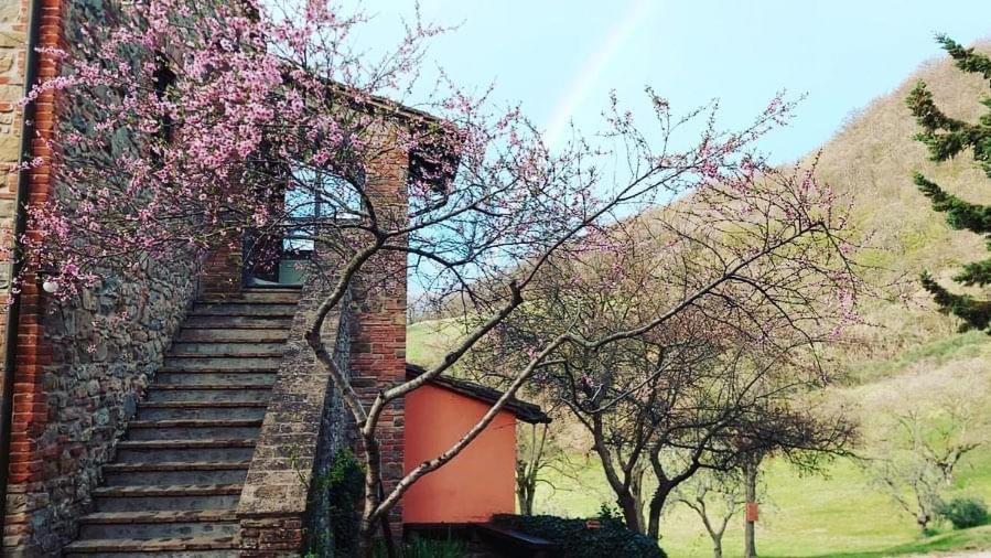 Agriturismo Paradiso41 Assisi Buitenkant foto