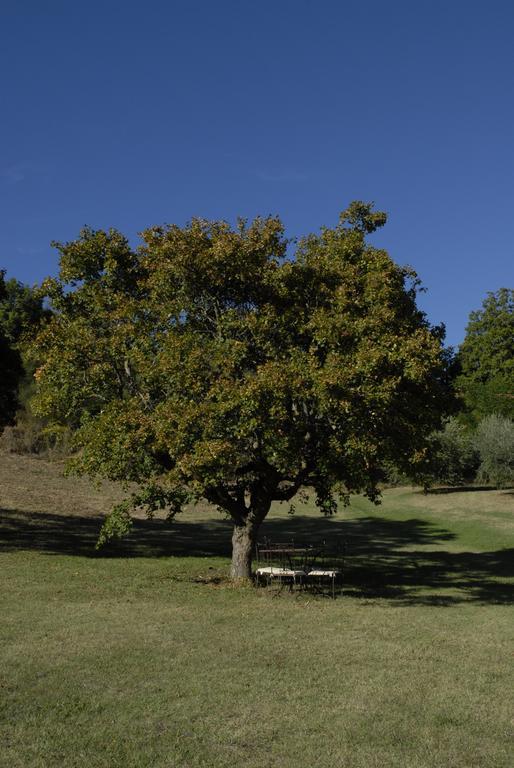 Agriturismo Paradiso41 Assisi Buitenkant foto