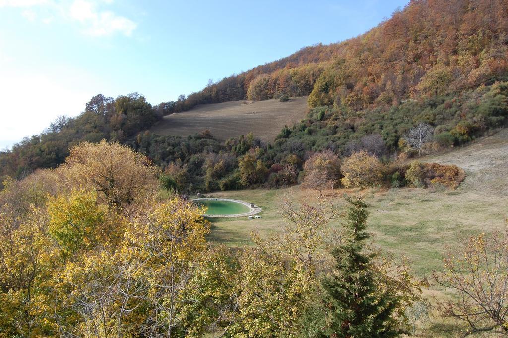 Agriturismo Paradiso41 Assisi Buitenkant foto