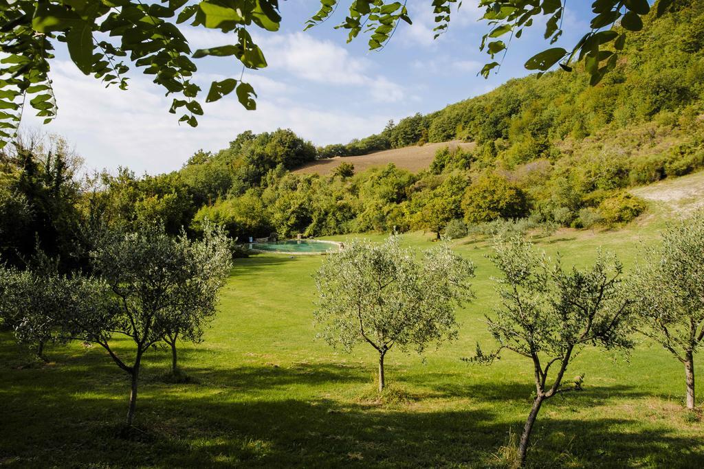 Agriturismo Paradiso41 Assisi Buitenkant foto